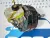BMW E82 E90 320d 323 325 328 335 X1 M47 N52 angol szervódob fékszervó devander