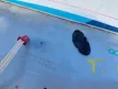 BMW E46 touring szürke csomagtér csomagtartó ajtó fedél tetőspoiler tető spoiler légterelő féklámpa
