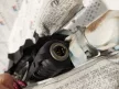 BMW E91 jobb függönylégzsák függöny légzsák airbag