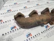 BMW E90 E91 E87 118d 120d 318d 320d öntvény leömlő