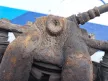 BMW E81 E82 E87 E88 116d 116i 118i 120i 118d 54/22 jobb első féknyereg fék nyereg konzol