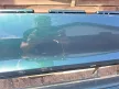 BMW E46 touring hátsó zöld Farngruen lökhárító