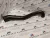 BMW E46 320d  M47 136le turbócső intercooler cső