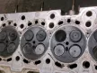 BMW E46 E39 330d 530d 30d 184le 306D1 M57D30 hengerfej