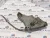 BMW E90 E91 E87 116d 118d 120d 318d 320d N47 bal motortartó bak konzol