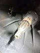 BMW E36 E46 Z3 316i 318i 316 318 M43 N40 N42 négyhengeres getrag váltó