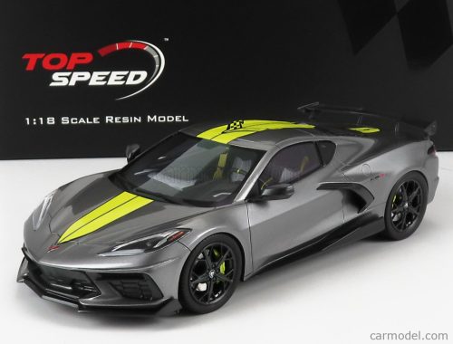 CHEVROLET  CORVETTE STINGRAY N 0 IMSA GTLM CHAMPIONSHIP EDITION 2020