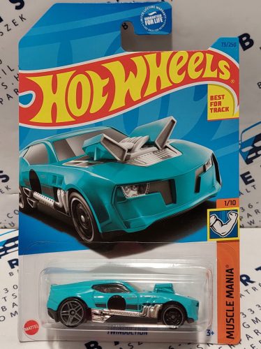 Hot Wheels Custom Twinduction - Muscle Mania 1/10 - 73/250 - hosszú kártyás